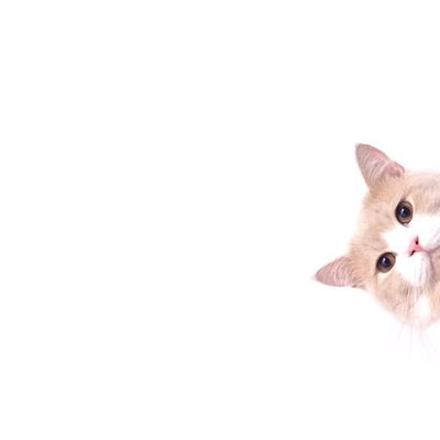 On regarde tout ce qui a fait cette année ? #vousallezsourire