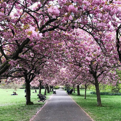 Penser à réserver #4 : Londres