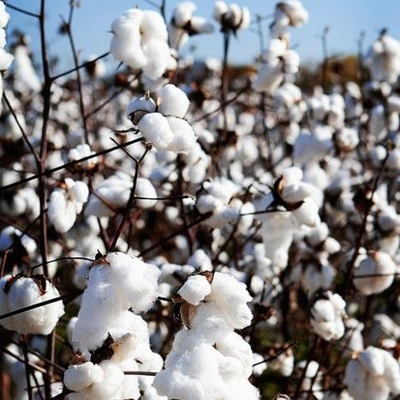 L’art et la matière (et les progrès qu’il nous reste à faire)