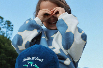 6 plantes à mettre dans sa chambre