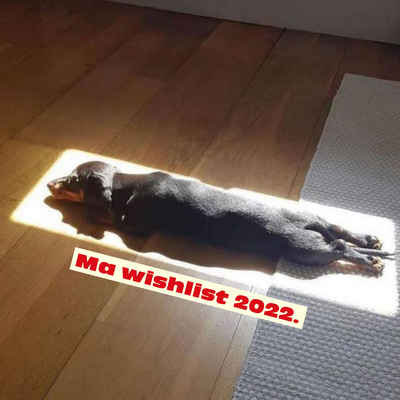 Vos résolutions 2022 ! (Enfin nous, perso, on ferait ça.)