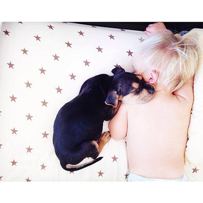 L’art de siester selon Theo & Beau