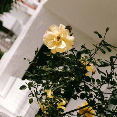 Comme un air d’été : 10 plaisirs pour en profiter