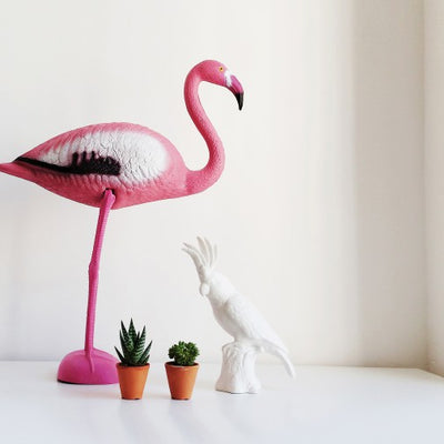 Notre boutique éphémère dans le Marais