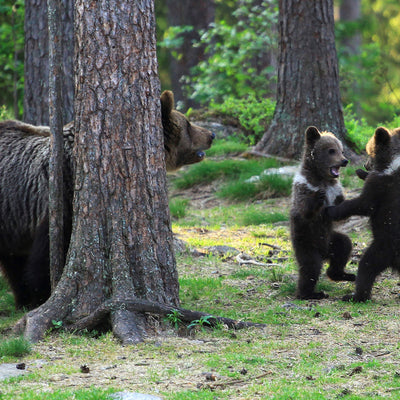 Je trouve ça trop mignon ! (mince, je suis enceinte ?!)