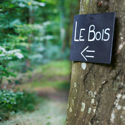L’adresse la plus convoitée des familles qui veulent déconnecter