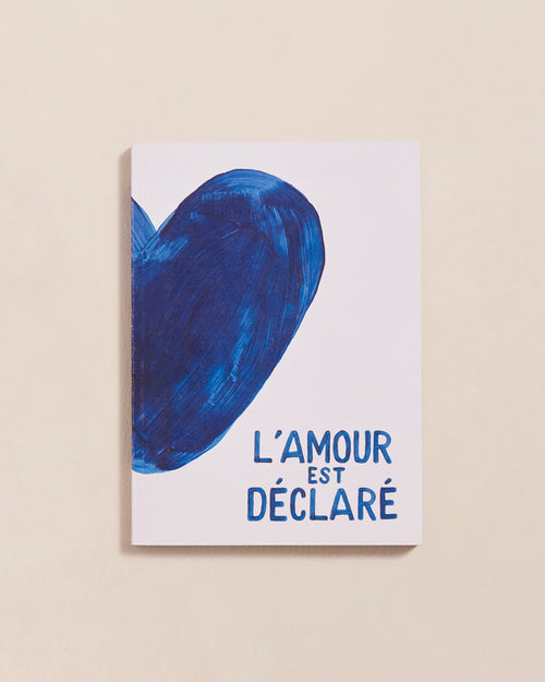 Le carnet L'amour est déclaré - cœurs bleus - émoi émoi   - 1 