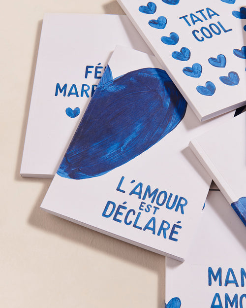 Le carnet L'amour est déclaré - cœurs bleus - émoi émoi   - 2 