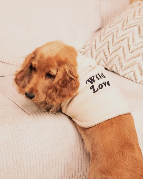 émoi émoi - émoi émoi   -  