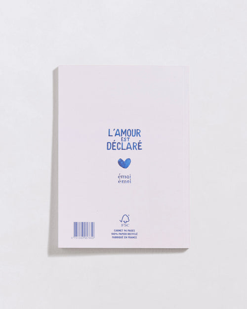 Le carnet Tata cool - cœurs bleus - émoi émoi   - 2 