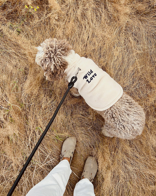 émoi émoi - émoi émoi   -  