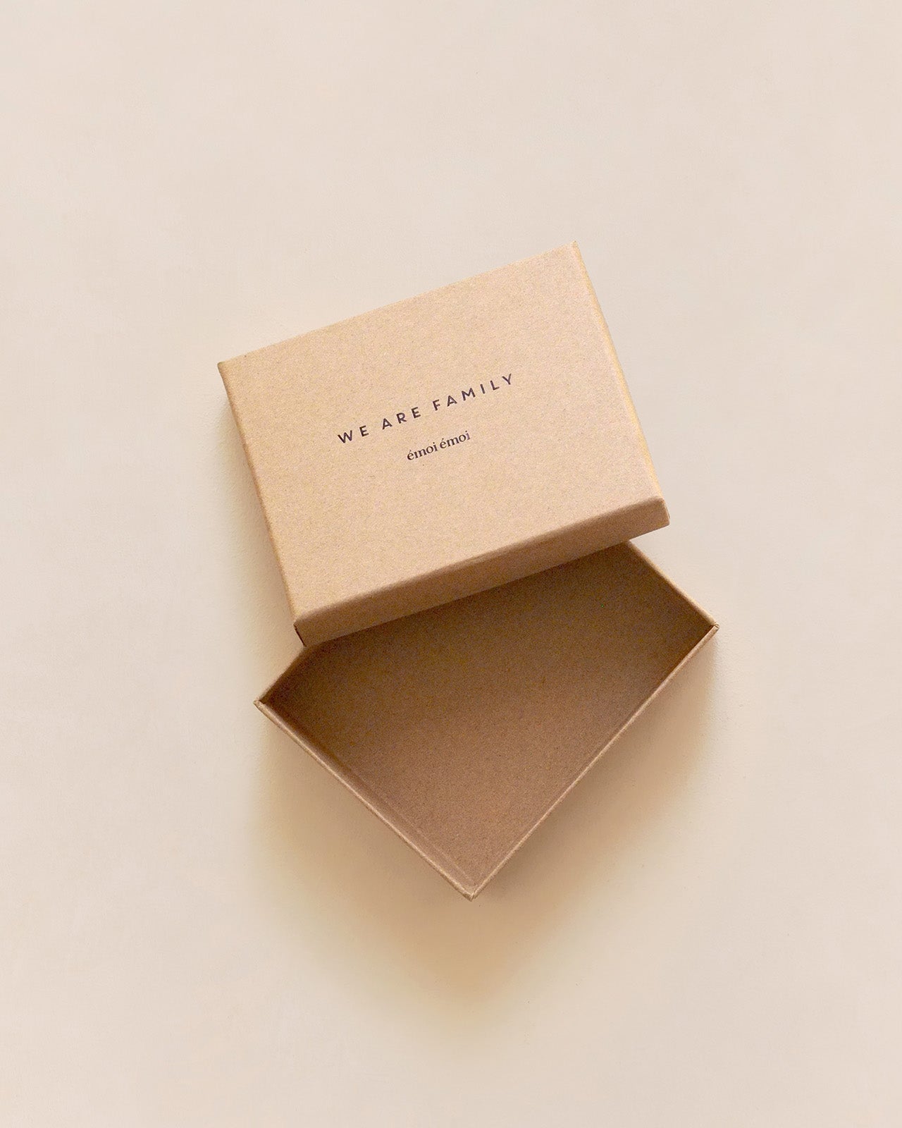 La boîte cadeau Chaussettes We are family - 9,5 x 12 cm - kraft