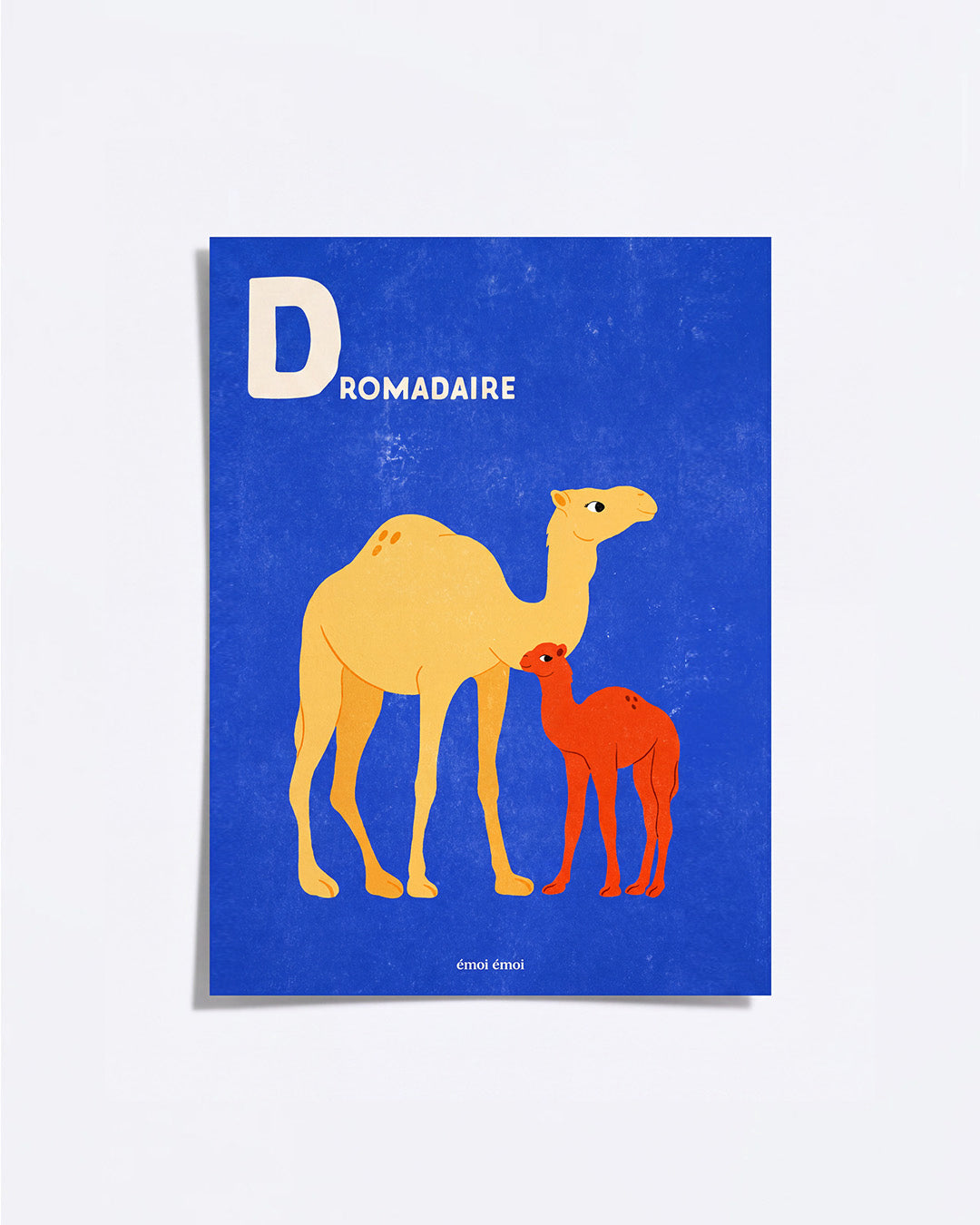 L’affiche Initiale D - Dromadaires - 30x40 cm