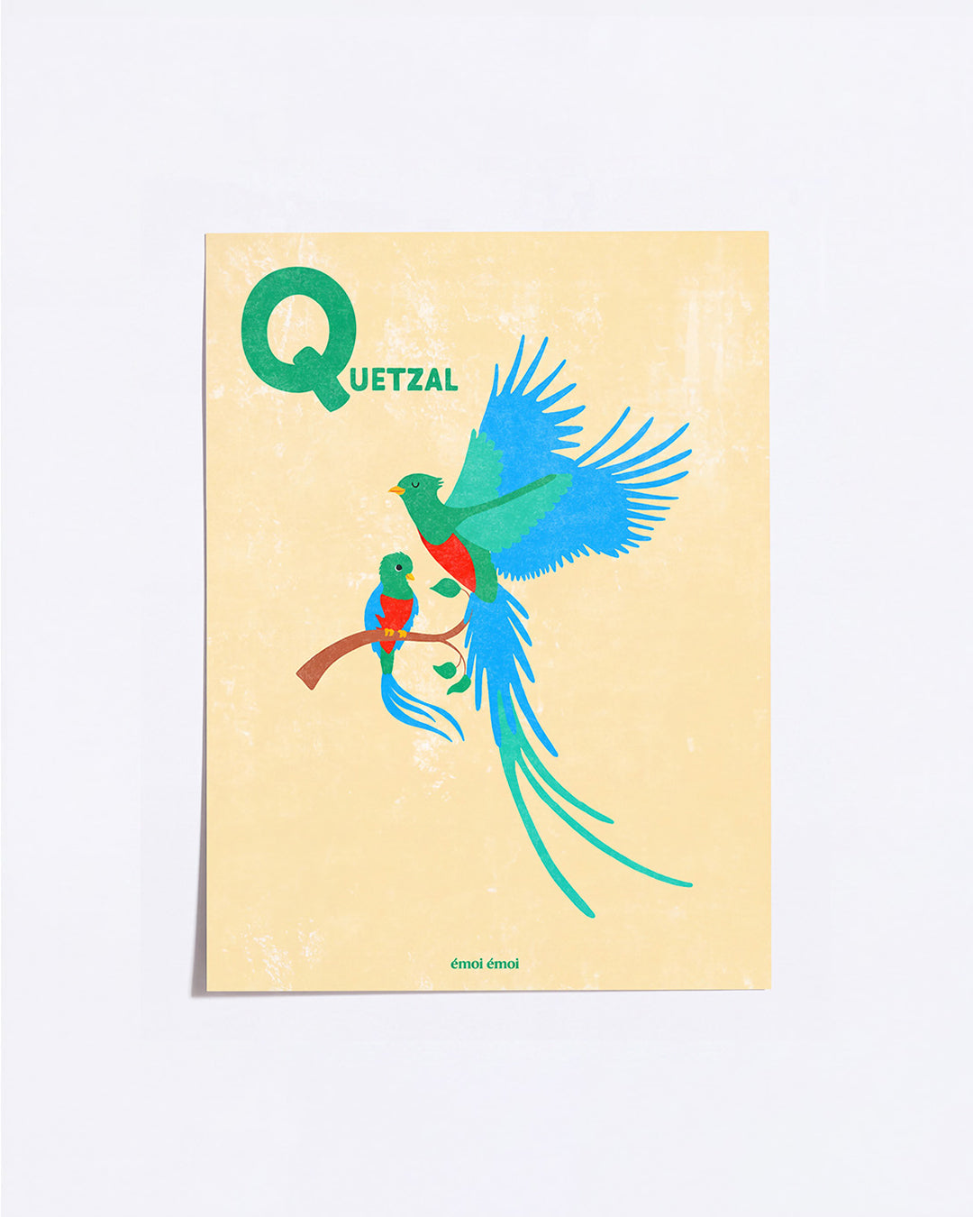 L’affiche Initiale Q - Quetzals - 30x40 cm