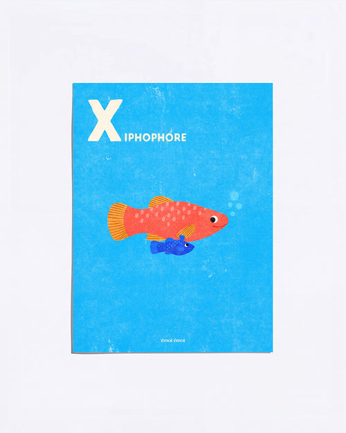 L’affiche Initiale X - Xiphophores - 30x40 cm - émoi émoi   - 1 