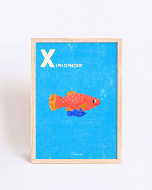 L’affiche Initiale X - Xiphophores - 30x40 cm - émoi émoi   - 2 